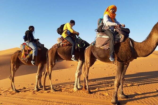 From Marrakech 3 Days Tour To Merzouga Sahara Desert - The Sum Up: Is this tour right for you?