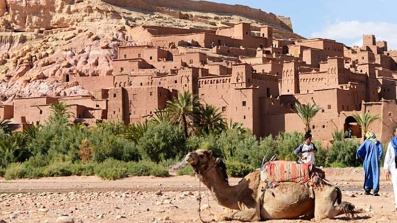 From Marrakech: 4-Day Private Merzouga Desert Tour to Agadir - Final Thoughts