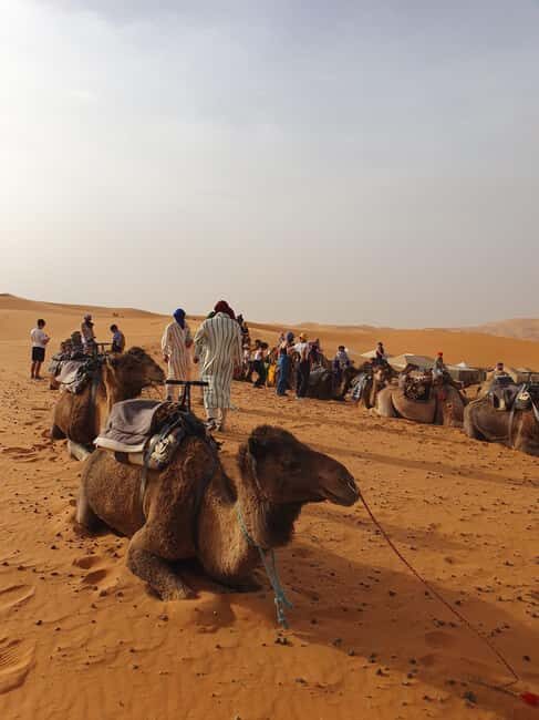 From Marrakech 4 Days Tour To Morocco Sahara Desert - Authenticity and Value