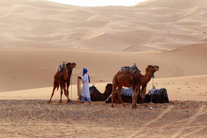 From Marrakech 4 Days Tour To Morocco Sahara Desert - Analyzing the Itinerary: What to Expect