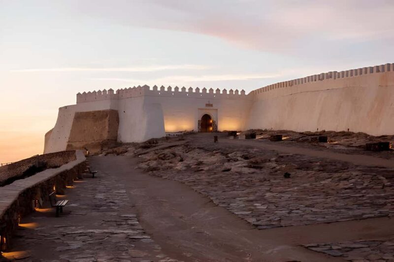 From Marrakech: Agadir Day Trip with Beach and Marina Visit - Who Will Love This Experience?