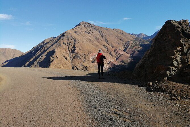 From Marrakech, Agafay desert & Atlas Mountains Day Trip 4WD - Who is This Tour Best For?