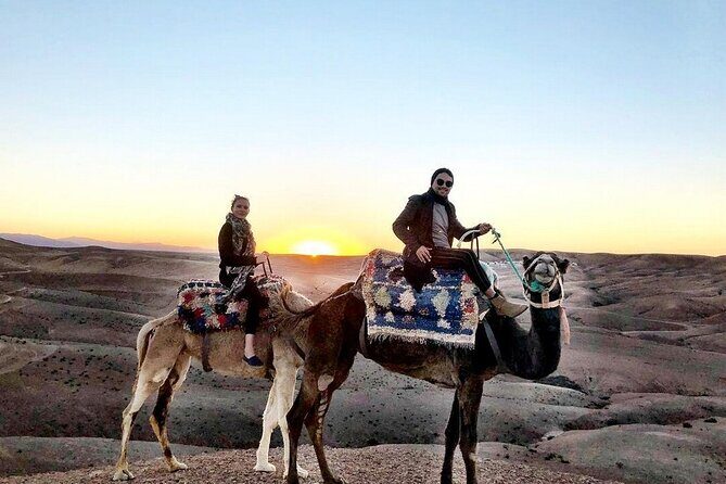 From Marrakech: Agafay Desert Camel Experience - The Sum Up