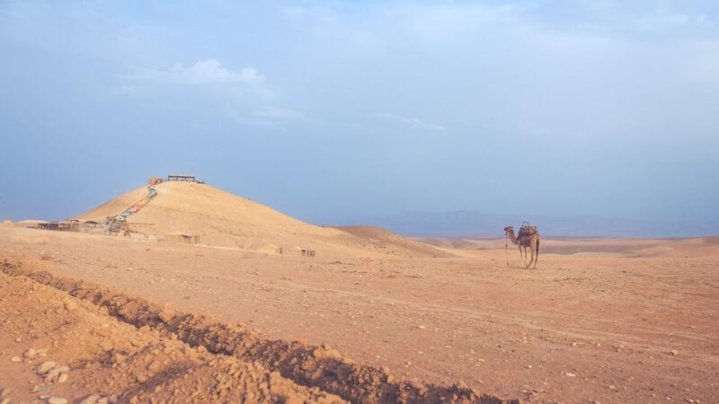 From Marrakech: Agafay Desert Camel Ride and Dinner and Show - Key Points  