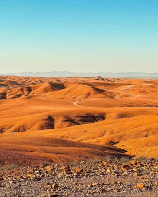 From Marrakech: Agafay Desert Day Trip with Lunch & Swimming - Final Words