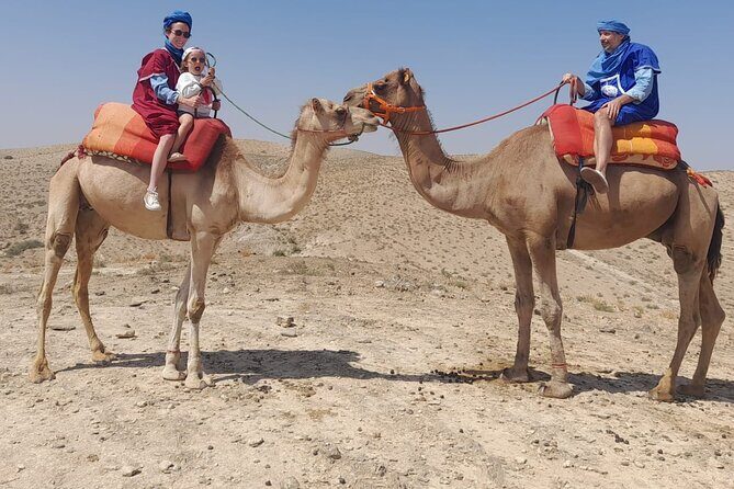 From Marrakech: Agafay Desert Dinner with Camel Ride - Key Points