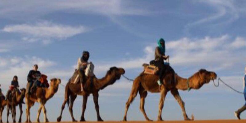 From Marrakech: Agafay Desert Horse ride with sunset - Authenticity and Traveler Insights
