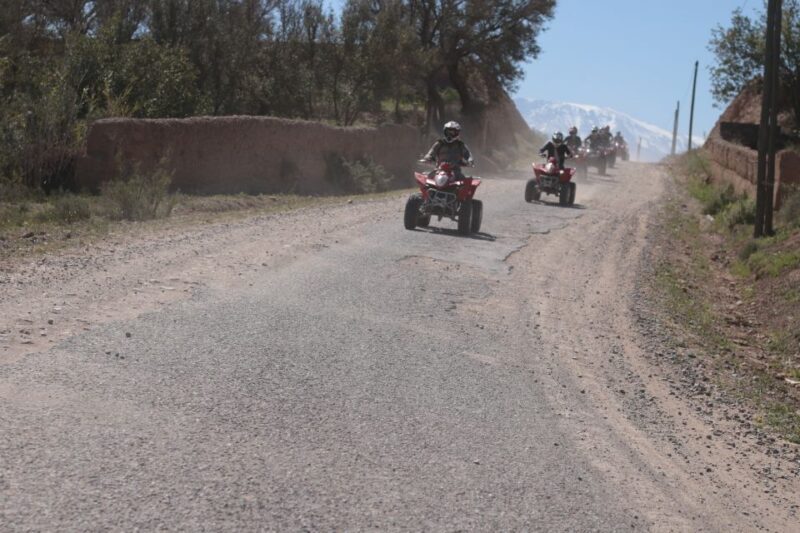 From Marrakech: Agafay Desert Quad Bike and Camel Ride Tour - Key Points  