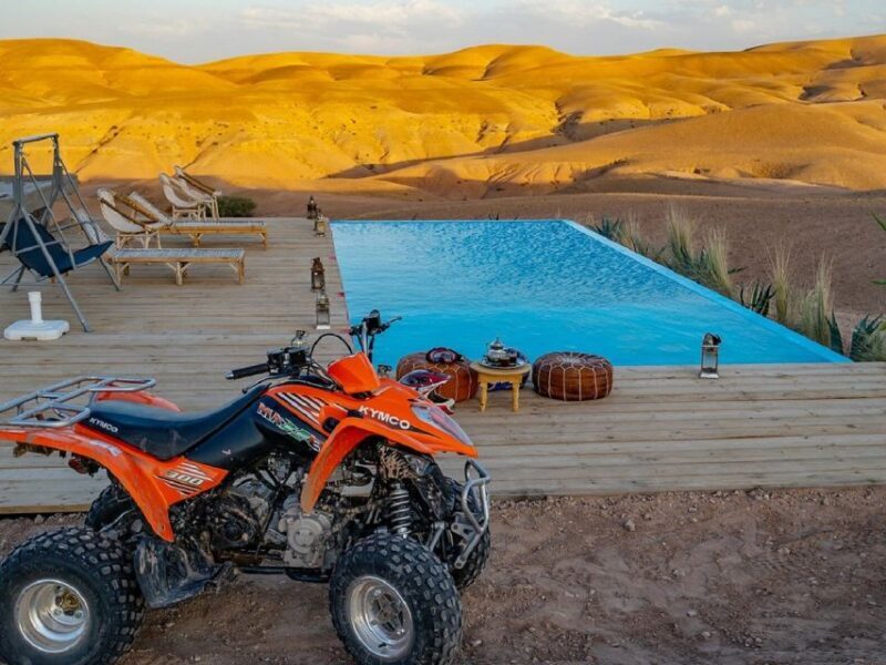 From Marrakech: Agafay Desert Quad Biking with Dinner & Show - Who Would Love This Tour?