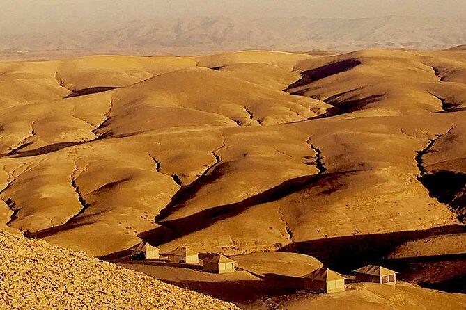 From Marrakech : Agafay Desert Quad Camel Ride and Dinner Show - Exploring the Details of the Experience