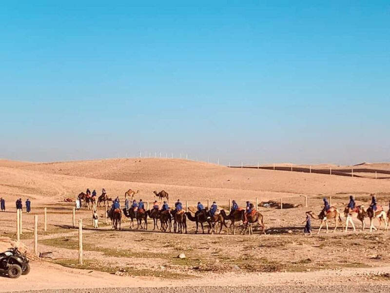 From Marrakech: Agafay Desert Sunset, Camel Ride, and Dinner - Key Points