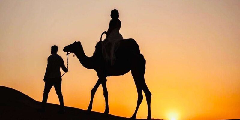 From Marrakech: Agafay Sunset Camel Tour with Dinner & Show - Who Will Love This Tour?