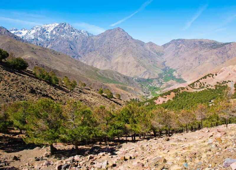 From Marrakech: Asni and Imlil Private Day Trip - Final Thoughts: Is This Tour Worth It?