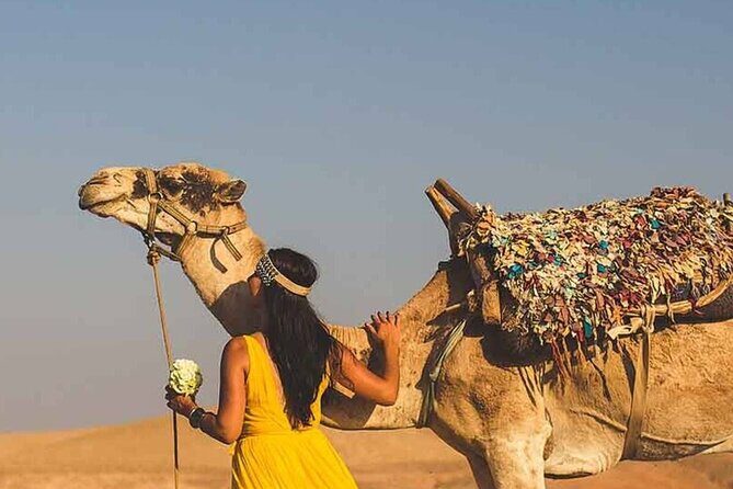 From MARRAKECH : Atlas Day Trip & Camel ,Agafay - Value and Cost Analysis