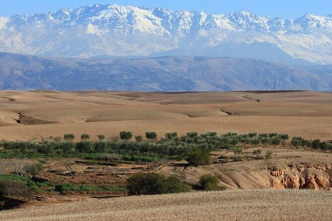 From MARRAKECH : Atlas Day Trip & Camel ,Agafay - What Reviewers Say