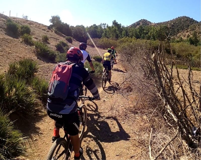 From Marrakech: Atlas Mountain and Berber Village Bike Trip - An Overview of the Experience