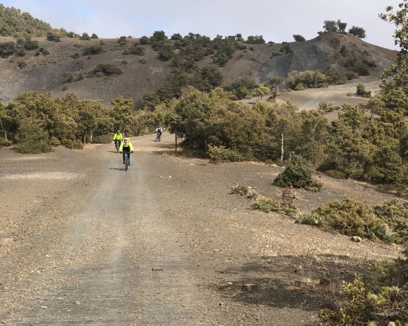 From Marrakech: Atlas Mountain and Berber Village Bike Trip - Visiting Berber Villages and Local Life