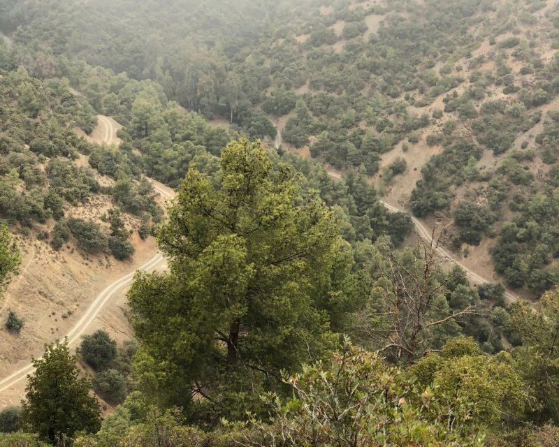 From Marrakech: Atlas Mountain and Berber Village Bike Trip - How to Decide if This Is Right for You