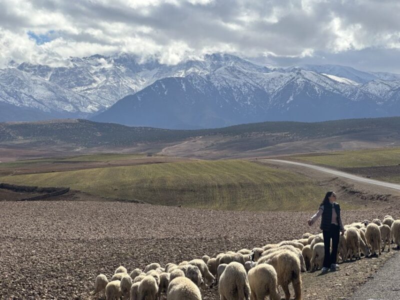 From Marrakech: Atlas Mountains 4-Day Hike with Hotels - Key Points