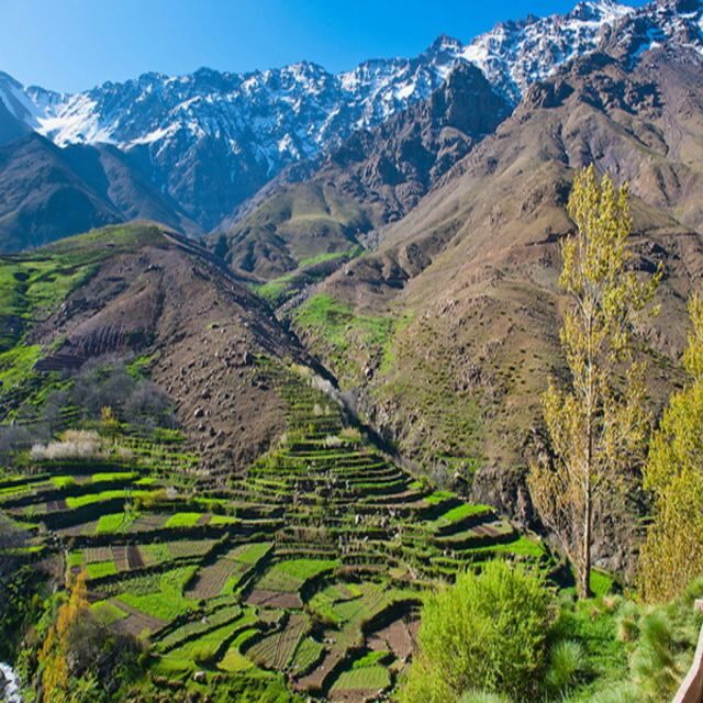 From Marrakech: Atlas Mountains and Berber Village Day Trip - A Well-Designed Day Trip Into the Atlas Mountains