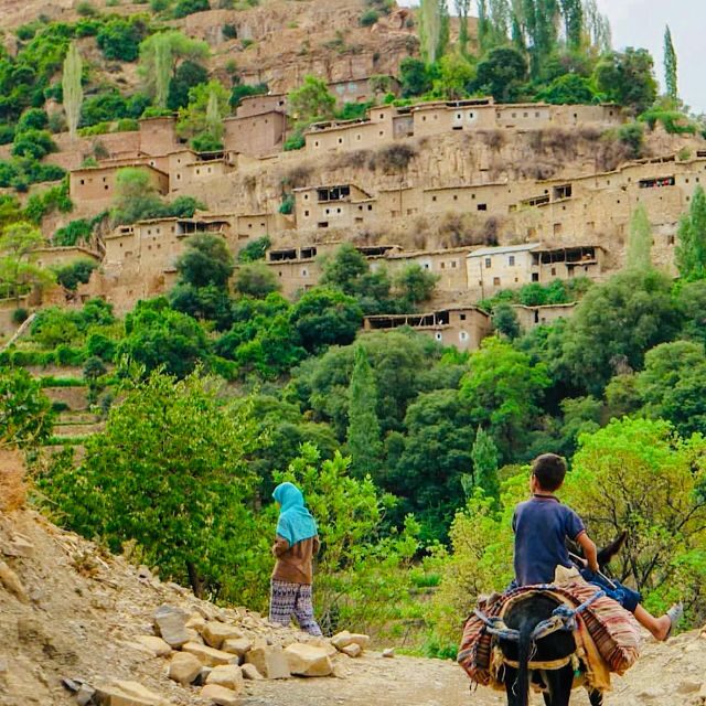 From Marrakech: Atlas Mountains and Berber Village Day Trip - Authentic, Scenic, and Educational: Who Will Love This Tour?