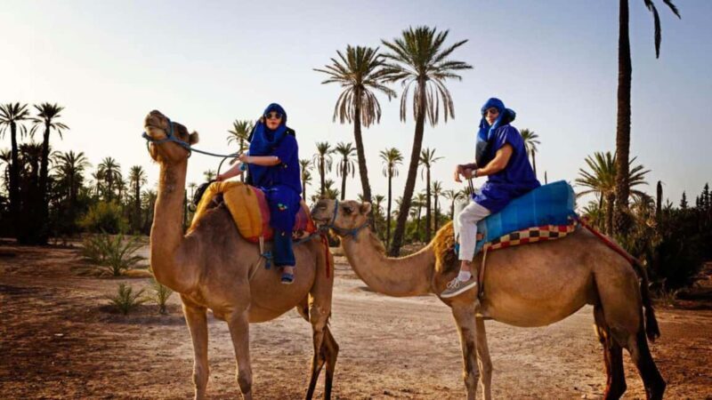 From Marrakech: Camel Ride in the Palm Grove - Key Points