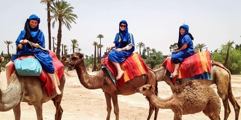 From Marrakech: Camel Ride in the Palm Grove - The Value of This Experience