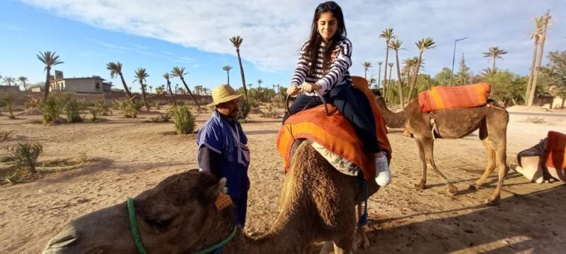 From Marrakech: Camel Ride in the Palm Grove - Why This Tour Might Be Perfect for You