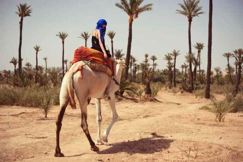 From Marrakech: Camel Ride in the Palm Grove - FAQ