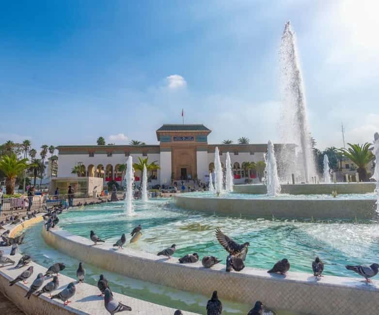 From Marrakech: Casablanca Day Tour & Hassan II mosque visit - Who this Tour is Perfect For