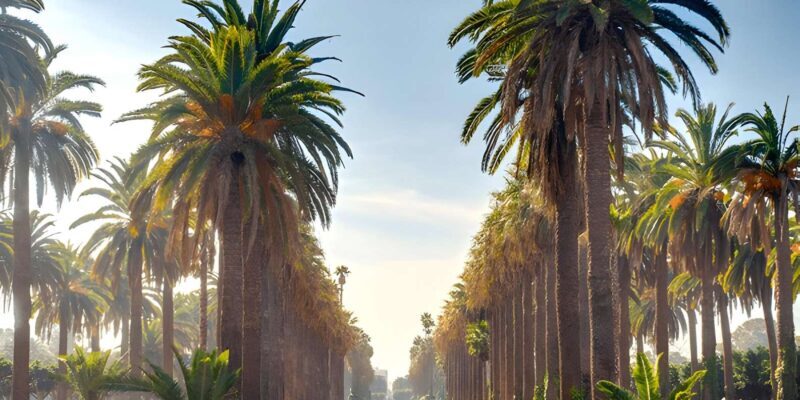 From Marrakech: Casablanca Day Trip by van - Key Points