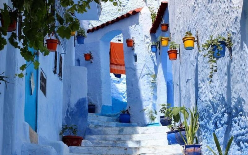 From Marrakech: Chefchaouen & 2 Imperial Cities 3-Day Tour - Final Thoughts: Who Should Consider This Tour?