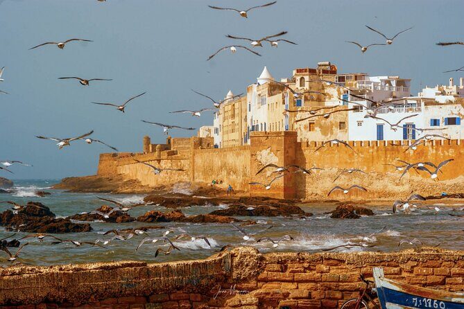 From Marrakech: Day Journey to Essaouira Mogador - The Sum Up