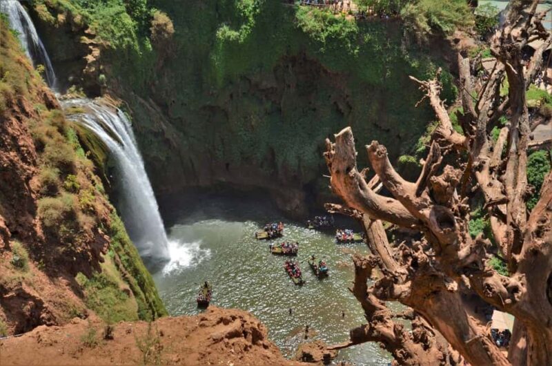 From Marrakech: Day Tour to Ouzoud Waterfalls - Why This Tour Is a Great Choice