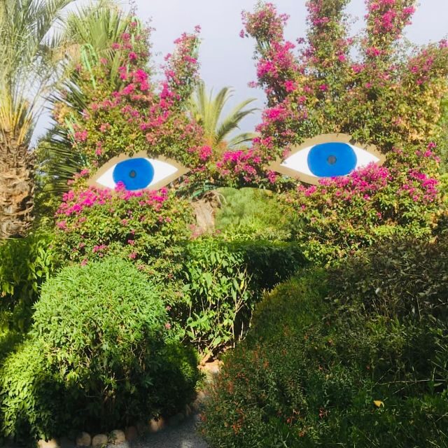 From Marrakech: Day Trip to Anima Garden and Imlil Valley - Final Thoughts