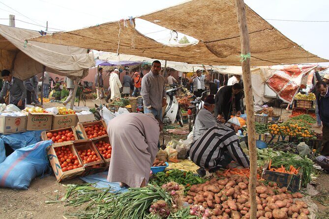 From Marrakech : Day Trip to Atlas Mountains with Camel Ride - An In-Depth Look at the Experience