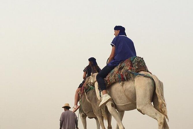 From Marrakech : Day Trip to Atlas Mountains with Camel Ride - The Sum Up: Who Should Book This Tour?
