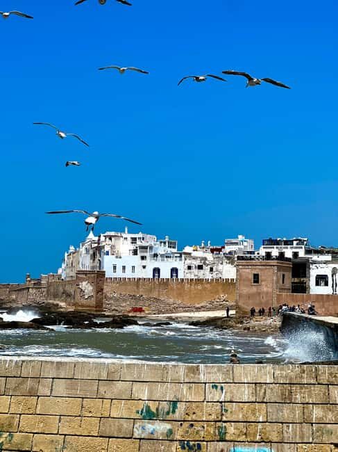 From Marrakech: Day Trip to Essaouira with Transfers - Frequently Asked Questions (FAQs)