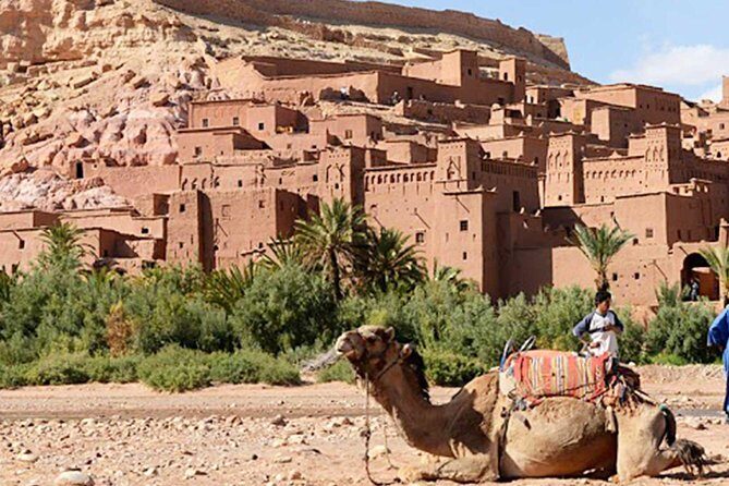 From Marrakech : Day Trip to Ouarzazate and Ait Benhaddou - Who Will Love This Tour?