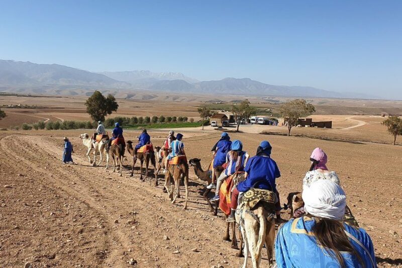 From Marrakech : Desert Agafay Camel Ride & Dinner - From Marrakech: Desert Agafay Camel Ride & Dinner – A Detailed Review