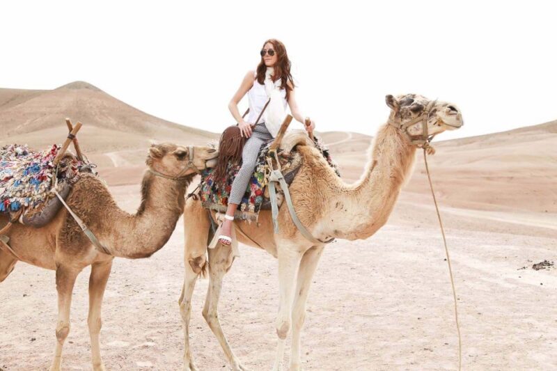 From Marrakech : Desert Agafay Camel Ride & Dinner - What Travelers Can Expect: A Balanced Perspective