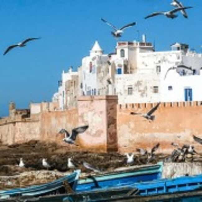 From Marrakech : Essaouira 01 day trip & argan cooperative - Key Points
