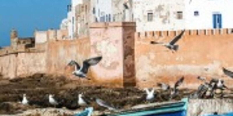 From Marrakech : Essaouira 01 day trip & argan cooperative - FAQ