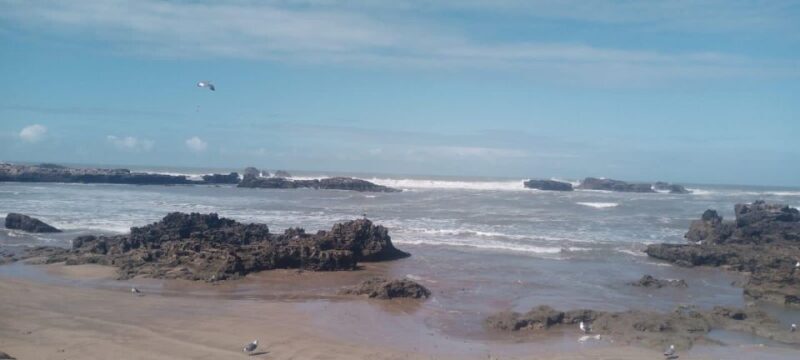 From Marrakech: Essaouira Coastal City Day Trip - FAQ
