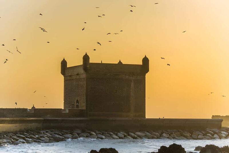 From Marrakech: Essaouira day Trip with camel, horse & quad - Beach Time and Optional Activities
