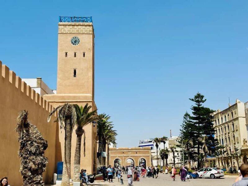 From Marrakech: Essaouira day Trip with camel, horse & quad - Practical Tips for Making the Most of This Trip  