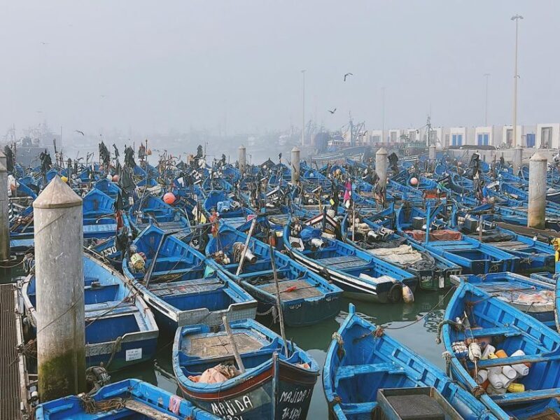 From Marrakech: Essaouira Day Trip with Hotel Pickup - From Marrakech: Essaouira Day Trip with Hotel Pickup — A Complete Guide