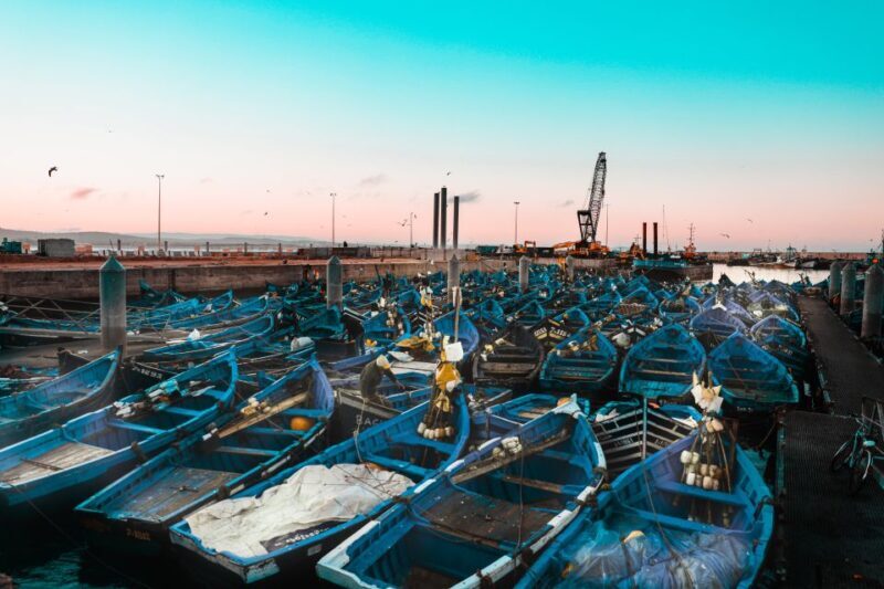 From Marrakech: Essaouira Day Trip with Hotel Pickup - Practical Details and Tips