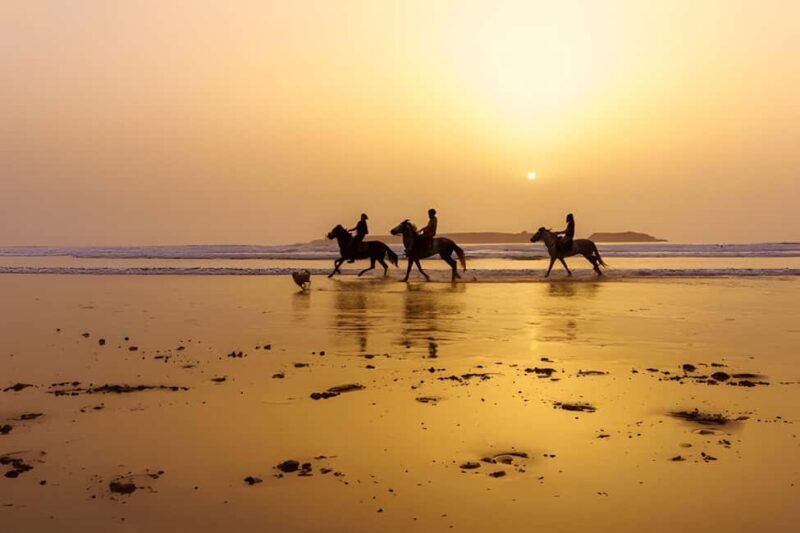 From Marrakech: Essaouira Full-Day Trip with Activities - The Sum Up: The Perfect Day Trip for a Taste of Coastal Morocco