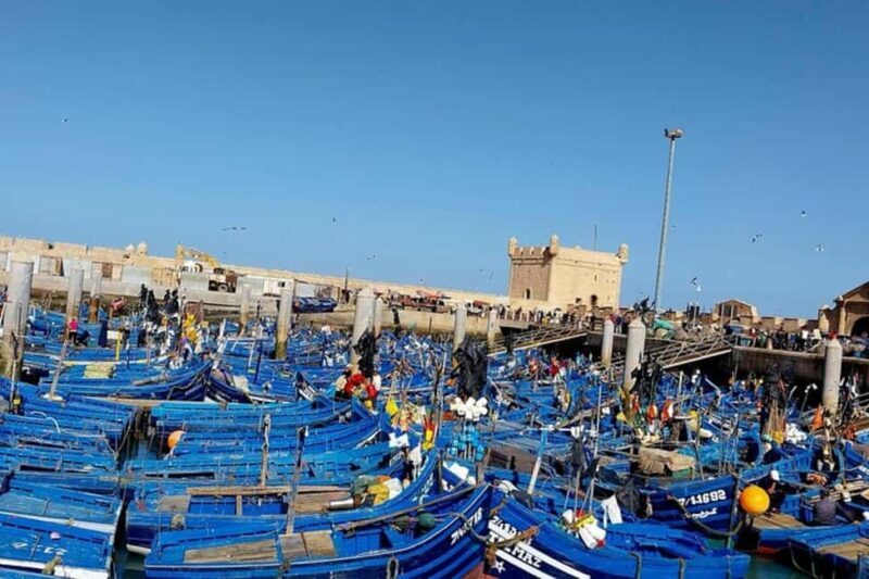 From Marrakech: Essaouira Private Full-Day Trip - An In-Depth Look at the Marrakech to Essaouira Day Trip